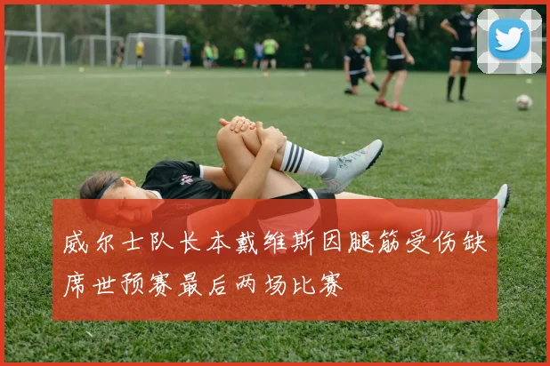威尔士队长本戴维斯因腿筋受伤缺席世预赛最后两场比赛