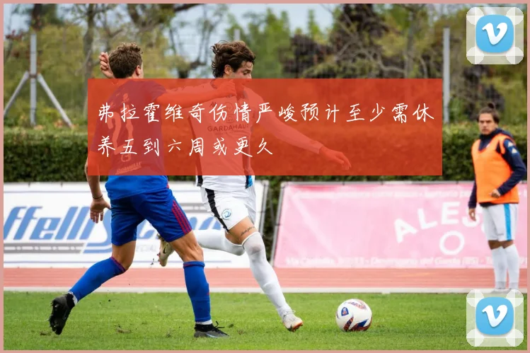 弗拉霍维奇伤情严峻预计至少需休养五到六周或更久
