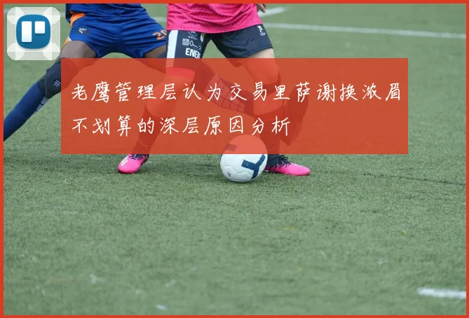 老鹰管理层认为交易里萨谢换浓眉不划算的深层原因分析