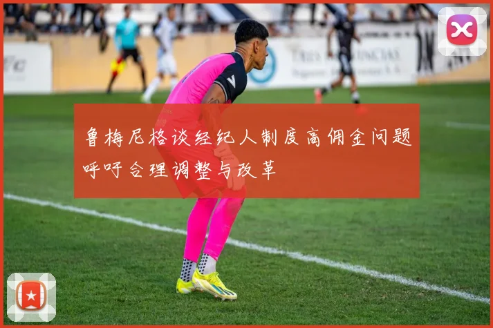 鲁梅尼格谈经纪人制度高佣金问题呼吁合理调整与改革