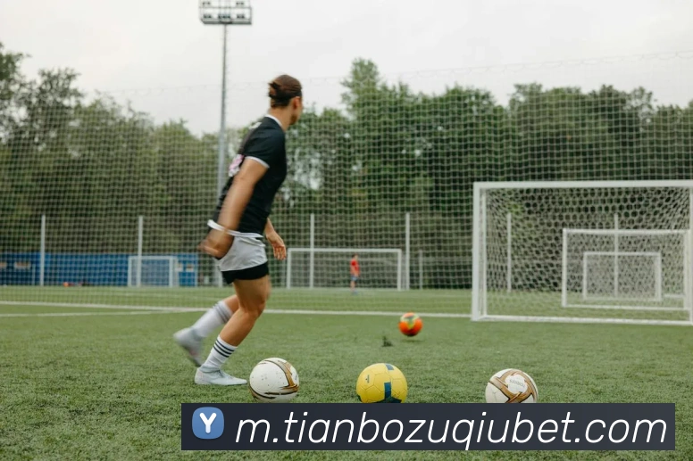 App Interface Preview